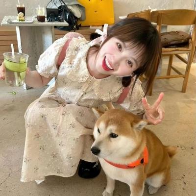交错卢森堡